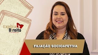 Explica Direito Filiação Socioafetiva  2019 [upl. by Emelin]