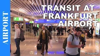 TRANSIT WALK AT FRANKFURT Airport FRA Terminal 1  Connection Flight Transfer Arriving amp Departing [upl. by Shirlee509]